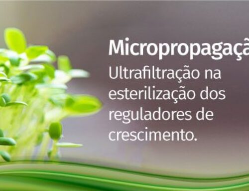 Micropropagação – Ultrafiltração na esterilização dos reguladores de crescimento